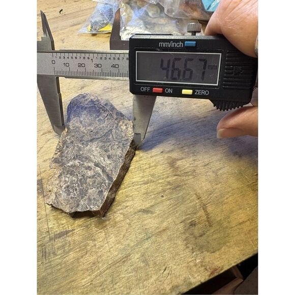 Petrified Wood Slabs (2) - Picture 5 of 8